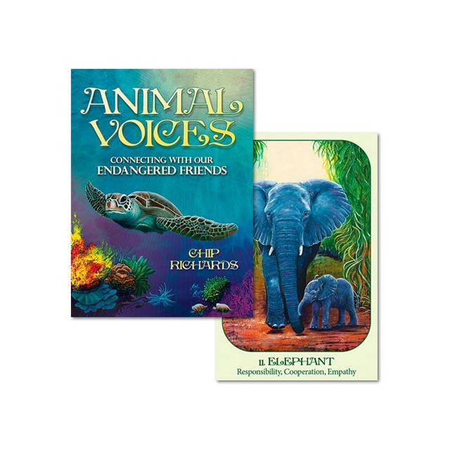 Animal Voices da Blue Angel - Capa e Carta