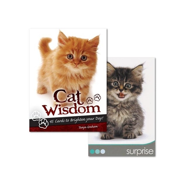 Cat Wisdom - Capa e Carta 