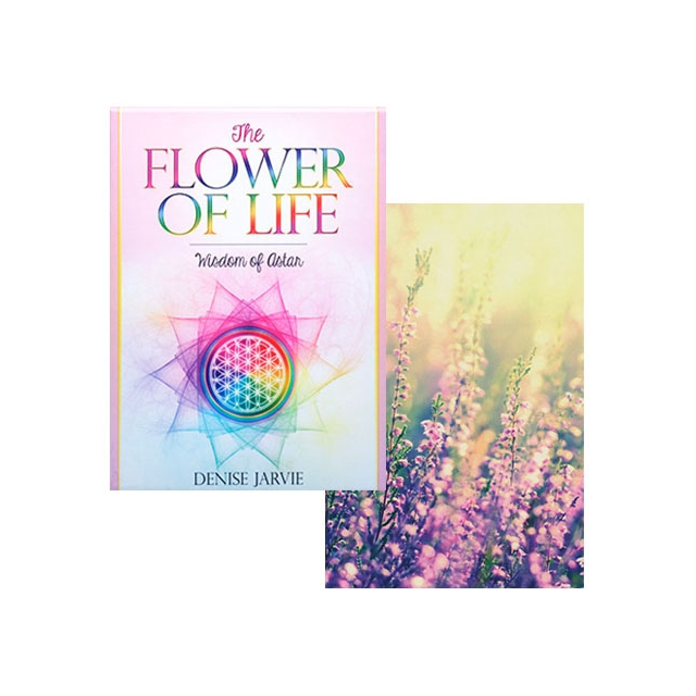 The Flower of Life 