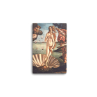 Journal O Nascimento de Vênus de Botticelli