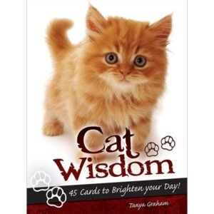 Cat Wisdom - Imagem 2