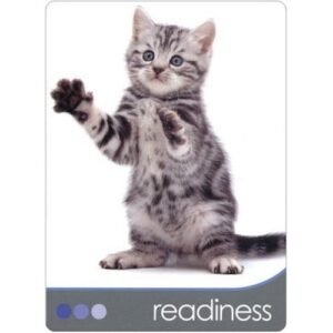 Cat Wisdom - Imagem 3