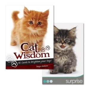 Cat Wisdom