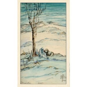 Smith-Waite Tarot - Borderless Edition - Imagem 13