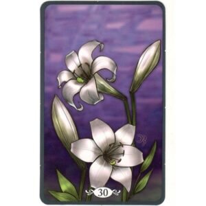 Baralho Cigano - Feitiços Aromáticos - Imagem 9