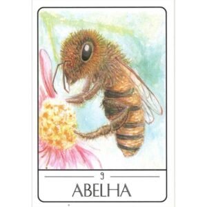 Tarot dos Animais Sul-Americanos (Livro + Cartas) - Imagem 4