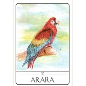 Tarot dos Animais Sul-Americanos (Livro + Cartas) - Imagem 3
