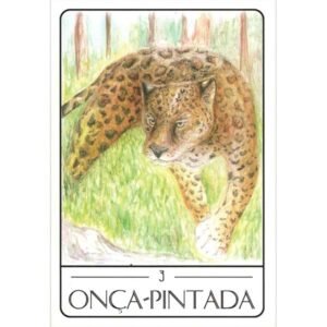 Tarot dos Animais Sul-Americanos (Livro + Cartas) - Imagem 9