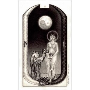 O Tarô Carbônico (Livro + Cartas) - Imagem 6