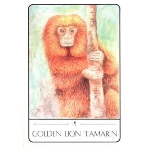Tarot of the South American Animals (Livro + Cartas) - Imagem 7