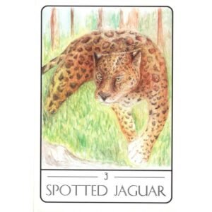 Tarot of the South American Animals (Livro + Cartas) - Imagem 3