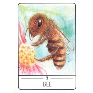 Tarot of the South American Animals (Livro + Cartas) - Imagem 5