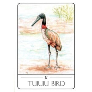 Tarot of the South American Animals (Livro + Cartas) - Imagem 6