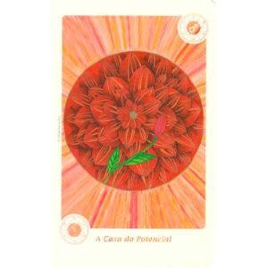 Cartas Astrológicas Holísticas (Livro + 52 Cartas) - Imagem 3