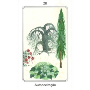 Osho - Tarô da Transformação (Livro + Cartas) - Imagem 6