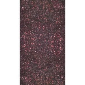 Sola Busca Tarot - Museum Quality - Imagem 6