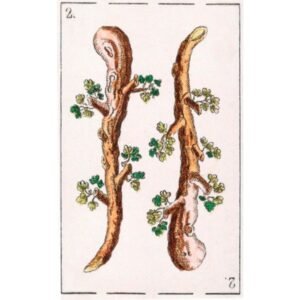 Baralho Espanhol - Quatro Impérios - Imagem 6