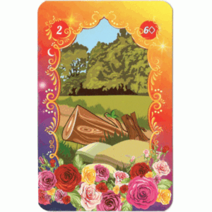 Bluma Kalin Lenormand - Imagem 3