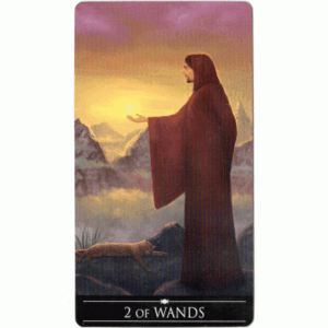 Silver Witchcraft Tarot - Imagem 13