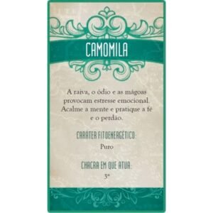 Tarô da Fitoenergética (Livro + Cartas) - Imagem 4