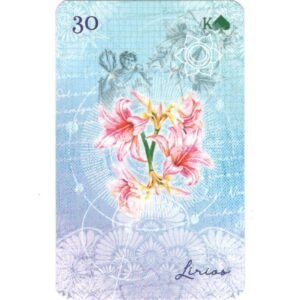 Madalena Lenormand - Imagem 8