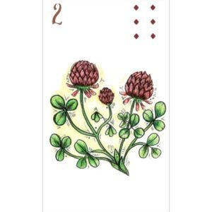 Ellipse Lenormand - Imagem 4
