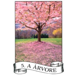 O Baralho Cigano da Sorte - Imagem 5