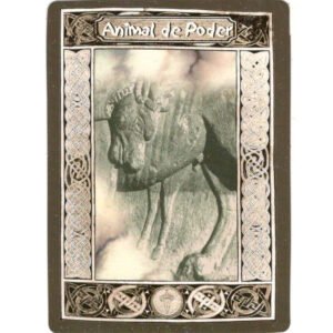 Xamanismo Matricial (Livro + Cartas) - Imagem 3