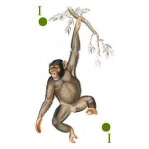 Reincarnation Tarot - Imagem 4