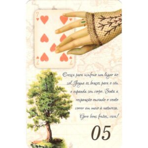 Yolanda Lenormand - Imagem 7