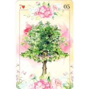 Cigana Carmela Lenormand - Imagem 7
