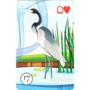 Deuses de Aruanda Lenormand - Imagem 6