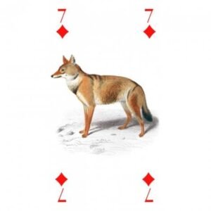 Reincarnation Tarot - Imagem 6