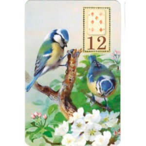 Legramonte Lenormand - Mini - Imagem 5