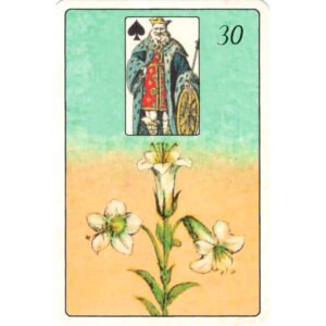 Liebe Lenormand - Mini - Imagem 6