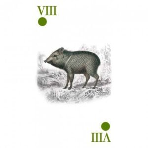 Reincarnation Tarot - Imagem 7