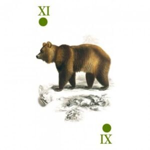 Reincarnation Tarot - Imagem 8