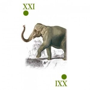 Reincarnation Tarot - Imagem 10