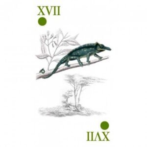 Reincarnation Tarot - Imagem 11