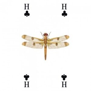 Reincarnation Tarot - Imagem 12