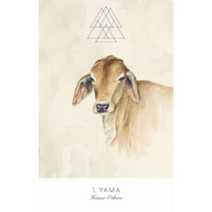 Land Sky Oracle - Imagem 3