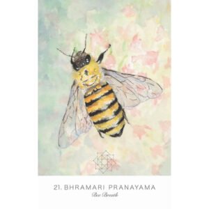 Land Sky Oracle - Imagem 4