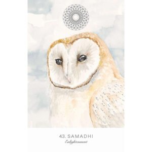 Land Sky Oracle - Imagem 11