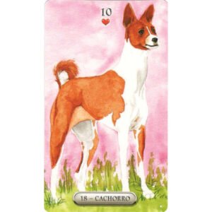 Baralho Cigano - Continente Africano (Livro + Cartas) - Imagem 3