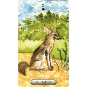 Baralho Cigano - Continente Africano (Livro + Cartas) - Imagem 8