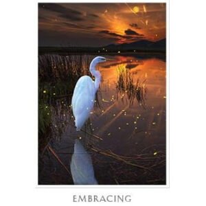 Sacred Destiny Oracle - Imagem 4