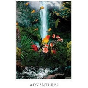 Sacred Destiny Oracle - Imagem 5