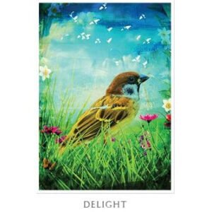 Sacred Destiny Oracle - Imagem 7