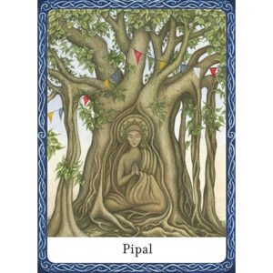 The Wisdom of Trees Oracle - Imagem 4