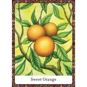 The Wisdom of Trees Oracle - Imagem 5
